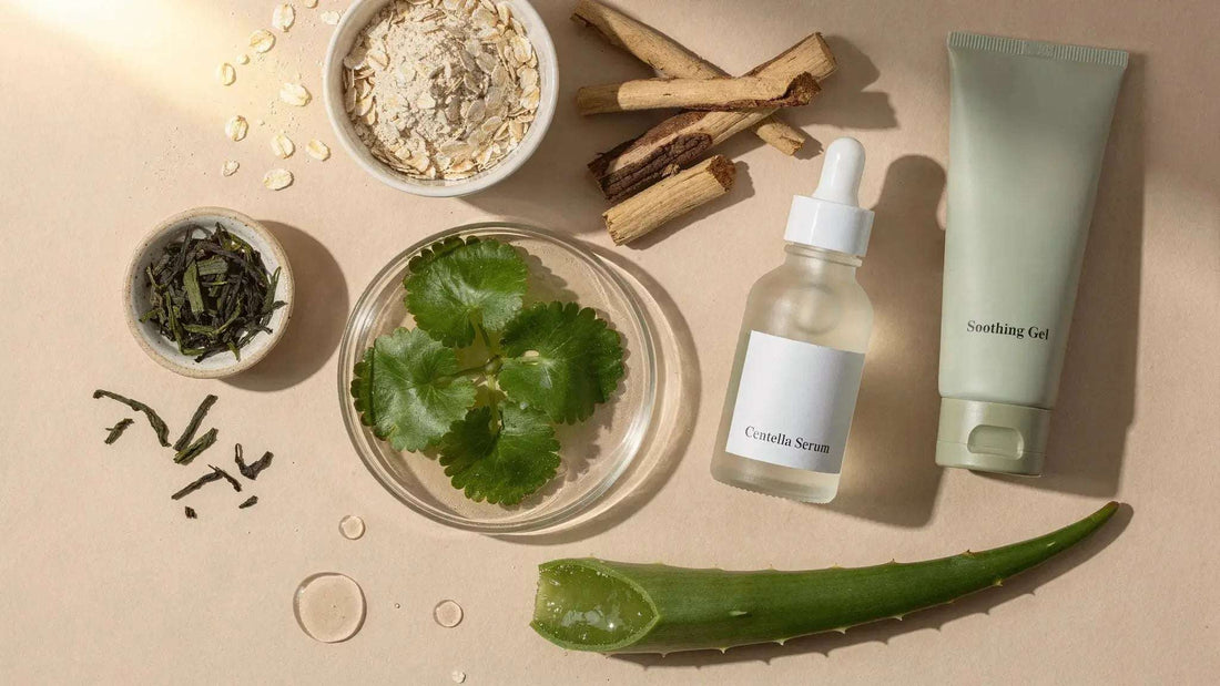 Botanical Skin Care: Best Plant Ingredients and Who Should Use Them