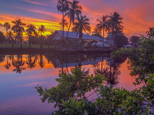 Palm trees reflected in a calm Florida canal at sunrise, Southwest Florida facial guide